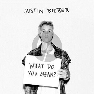 What Do You Mean?