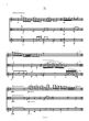 Becherucci Trio for Flute, Viola and Guitar (Score/Parts)