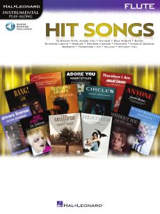 Hit Songs Flute Play-Along (Book with Audio online)