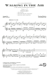 Walking In The Air (from The Snowman) (arr. John Leavitt)