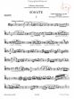 Sonata op.168 Bassoon and Piano