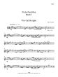 Tanner Flute Pastilles Vol.1 Concert Pieces for Flute and Piano (Grades 1 – 3)