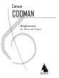Cooman Brightnesses Flute-Organ