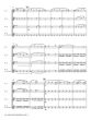 All I Want for Christmas is You for Flute Quartet (Score/Parts) (Arr. Bert van Haagen)