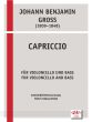 Gross Capriccio Op.6 Violoncello und Kontrabass (2 Spielpartiture)