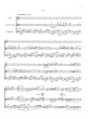 Schreier Landscape in snow - Three studies for Flute, Viola d’amore (or Viola) and Violoncello (Score and Parts) (Advanced)