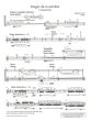 Hilli Elogio de la sombra for String Quartet Score/Parts (2015)