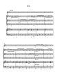 Woodcock Flute Concerto No.9 in E minor for Flute, 2 Violins, Violoncello and Bc Score and Parts (Grades 4–5)