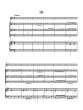 Woodcock Flute Concerto No.9 in E minor for Flute, 2 Violins, Violoncello and Bc Score and Parts (Grades 4–5)