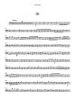 Woodcock Flute Concerto No.9 in E minor for Flute, 2 Violins, Violoncello and Bc Score and Parts (Grades 4–5)