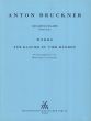 Bruckner Werke Klavier 4 Hd (Walburga Litschauer)
