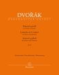 Dvorak Konzert g-moll Op.33 B 63 Klavier und Orchester (2 Klaviere red. von Karel Šolc) (harausgeber Robbert van Steijn)