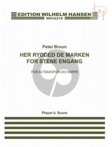 Her Rydded de Marken (2013)