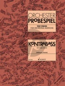 Orchester Probespiel Kontrabass