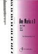 Ave Maria x 3 Flute and Piano (Bach-Caccini-Schubert) (J.v.d.Goot)