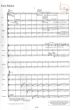 Widmann Freie Stucke for Ensemble or Chamber Orchestra (Study Score) (2002)