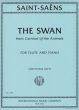 Saint-Saens The Swan (from Le Carnaval des Animaux) Flute-Piano (arr. Stephanie Jutt)