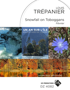 Trepanier Snowfall on Toboggans - Février Guitar solo