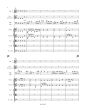 Stamitz Concerto C-major for Bassoon and Orchestra (Full Score) (edited by Ondrej Šindelár)