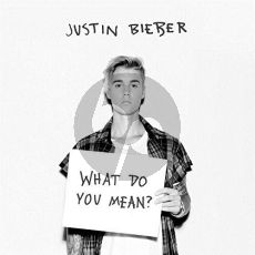 What Do You Mean?