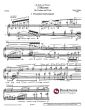 Holliger 3 Skizzen fur Violine und Viola (Viola in the Scordatura as in Mozart's Sinfonia Concertante KV 364)
