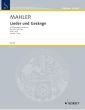 Mahler Lieder & Gesange Vol.1 (Tief)