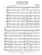 Shulman Variations 1984 for Solo Viola - Harp and Strings Score - Parts (Prepared and Edited by Kenneth Martinson) (in memory of David Dawson)