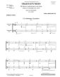 Borsarello Traits d'Union pour 2 Violoncelles (24 Pieces of Blending Tone Colours) (Playing Score)