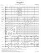 Bruckner Messe f-moll WAB 28 SATB soli-SSAATTBB Chor und Orchester (Partitur) (Felix Loy)