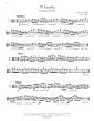 Cavallini 70 Etudes for Solo Viola (Edited by Kenneth Martinson) (Urtext)