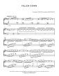 Fallen Down (from Undertale Piano Collections) (arr. David Peacock)