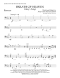 Breath of Heaven (Mary's Song) (arr. Jay Dawson) - Bassoon