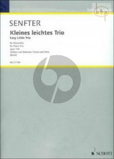 Kleines leichtes Trio Op.134