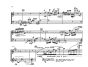 Anderson Bridging & Branching (1986) for Flute and Double Bass